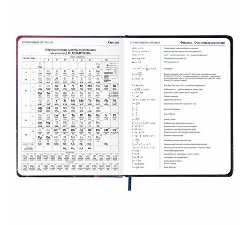 Дневник 1-11 класс 48 л., кожзам (твердая с поролоном), печать, резинка, конверт, BRAUBERG, 