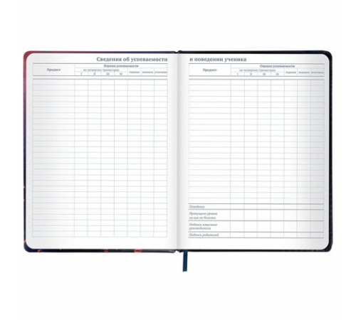 Дневник 1-11 класс 48 л., кожзам (твердая с поролоном), печать, резинка, конверт, BRAUBERG, 