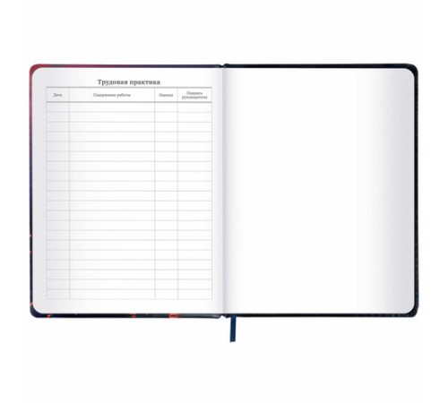 Дневник 1-11 класс 48 л., кожзам (твердая с поролоном), печать, резинка, конверт, BRAUBERG, 