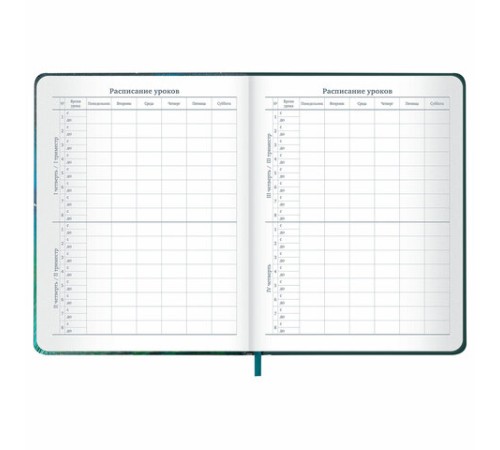 Дневник 1-11 класс 48 л., кожзам (твердая с поролоном), печать, резинка, конверт, BRAUBERG, 