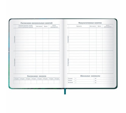 Дневник 1-11 класс 48 л., кожзам (твердая с поролоном), печать, резинка, конверт, BRAUBERG, 