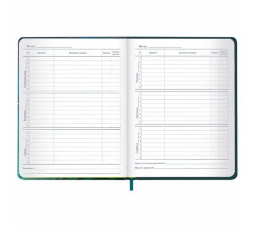 Дневник 1-11 класс 48 л., кожзам (твердая с поролоном), печать, резинка, конверт, BRAUBERG, 