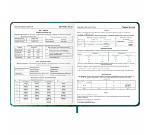 Дневник 1-11 класс 48 л., кожзам (твердая с поролоном), печать, резинка, конверт, BRAUBERG, 