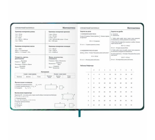 Дневник 1-11 класс 48 л., кожзам (твердая с поролоном), печать, резинка, конверт, BRAUBERG, 