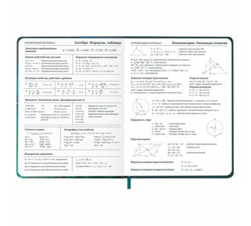 Дневник 1-11 класс 48 л., кожзам (твердая с поролоном), печать, резинка, конверт, BRAUBERG, 