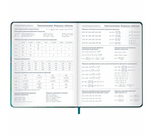 Дневник 1-11 класс 48 л., кожзам (твердая с поролоном), печать, резинка, конверт, BRAUBERG, 