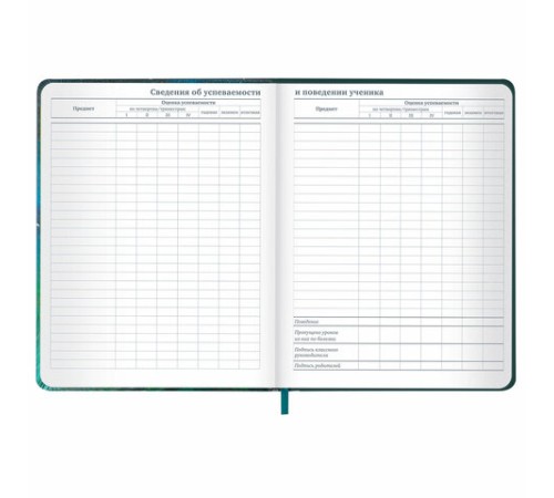 Дневник 1-11 класс 48 л., кожзам (твердая с поролоном), печать, резинка, конверт, BRAUBERG, 