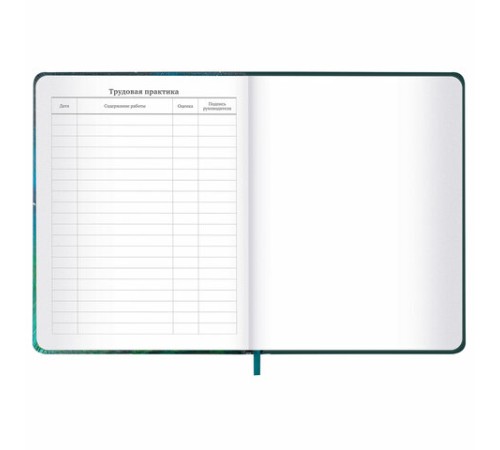 Дневник 1-11 класс 48 л., кожзам (твердая с поролоном), печать, резинка, конверт, BRAUBERG, 