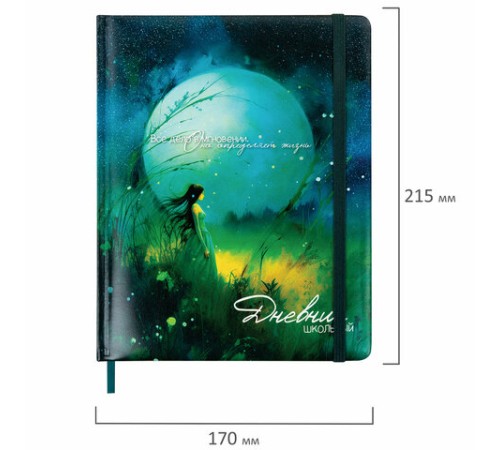 Дневник 1-11 класс 48 л., кожзам (твердая с поролоном), печать, резинка, конверт, BRAUBERG, 