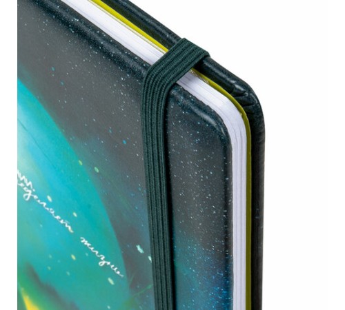 Дневник 1-11 класс 48 л., кожзам (твердая с поролоном), печать, резинка, конверт, BRAUBERG, 