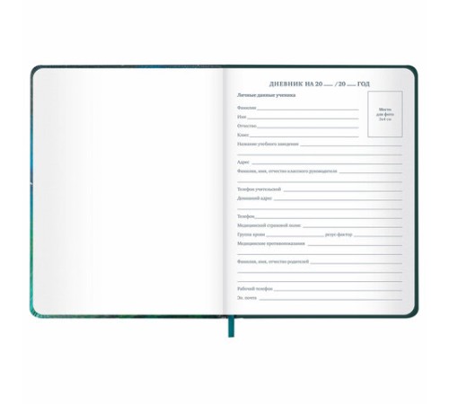 Дневник 1-11 класс 48 л., кожзам (твердая с поролоном), печать, резинка, конверт, BRAUBERG, 