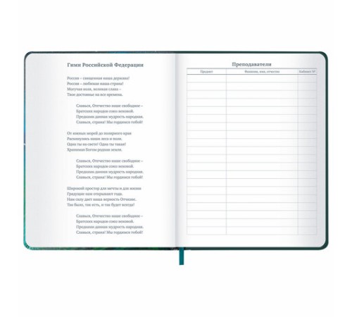 Дневник 1-11 класс 48 л., кожзам (твердая с поролоном), печать, резинка, конверт, BRAUBERG, 