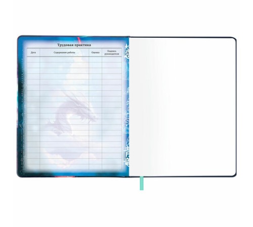 Дневник 1-11 класс 48 л., кожзам (твердая с поролоном), печать, цветной блок, BRAUBERG, 