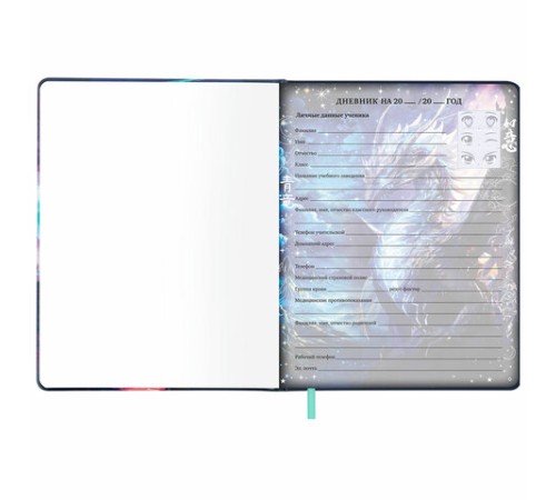 Дневник 1-11 класс 48 л., кожзам (твердая с поролоном), печать, цветной блок, BRAUBERG, 