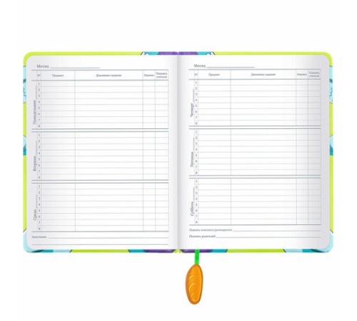 Дневник 1-11 класс 48 л., кожзам (твердая с поролоном), печать, ляссе с аппликацией, BRAUBERG, 