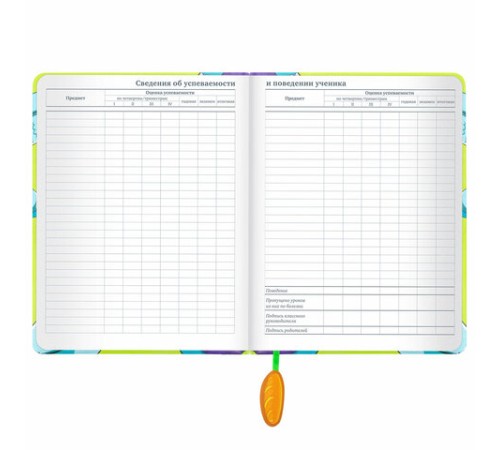 Дневник 1-11 класс 48 л., кожзам (твердая с поролоном), печать, ляссе с аппликацией, BRAUBERG, 