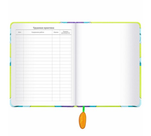 Дневник 1-11 класс 48 л., кожзам (твердая с поролоном), печать, ляссе с аппликацией, BRAUBERG, 