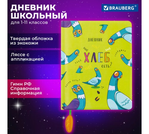 Дневник 1-11 класс 48 л., кожзам (твердая с поролоном), печать, ляссе с аппликацией, BRAUBERG, 