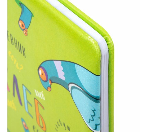 Дневник 1-11 класс 48 л., кожзам (твердая с поролоном), печать, ляссе с аппликацией, BRAUBERG, 