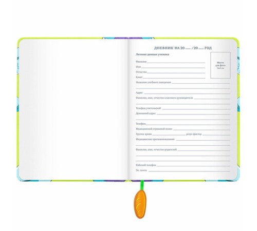 Дневник 1-11 класс 48 л., кожзам (твердая с поролоном), печать, ляссе с аппликацией, BRAUBERG, 