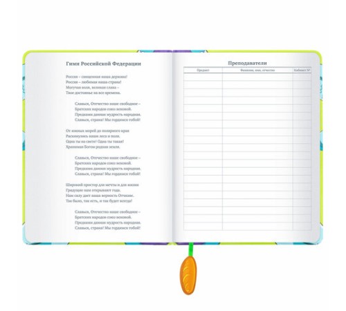 Дневник 1-11 класс 48 л., кожзам (твердая с поролоном), печать, ляссе с аппликацией, BRAUBERG, 