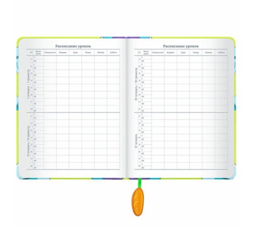 Дневник 1-11 класс 48 л., кожзам (твердая с поролоном), печать, ляссе с аппликацией, BRAUBERG, 