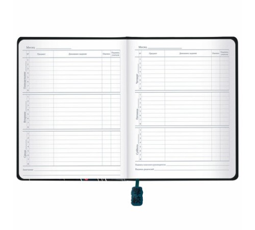 Дневник 1-11 класс 48 л., кожзам (твердая с поролоном), печать, ляссе с аппликацией, BRAUBERG, 