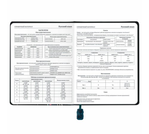 Дневник 1-11 класс 48 л., кожзам (твердая с поролоном), печать, ляссе с аппликацией, BRAUBERG, 