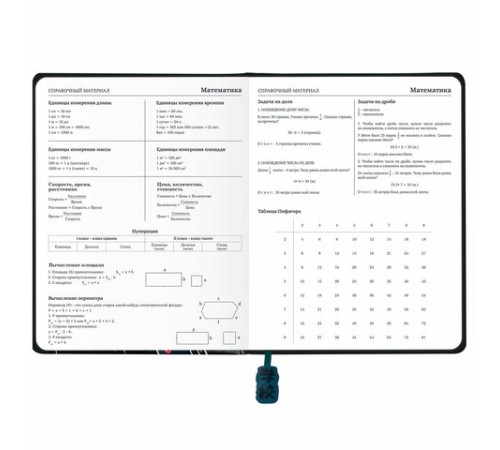 Дневник 1-11 класс 48 л., кожзам (твердая с поролоном), печать, ляссе с аппликацией, BRAUBERG, 