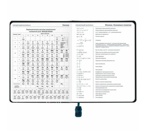 Дневник 1-11 класс 48 л., кожзам (твердая с поролоном), печать, ляссе с аппликацией, BRAUBERG, 