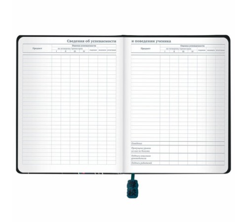 Дневник 1-11 класс 48 л., кожзам (твердая с поролоном), печать, ляссе с аппликацией, BRAUBERG, 