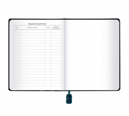 Дневник 1-11 класс 48 л., кожзам (твердая с поролоном), печать, ляссе с аппликацией, BRAUBERG, 