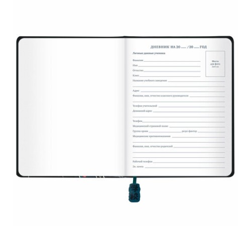 Дневник 1-11 класс 48 л., кожзам (твердая с поролоном), печать, ляссе с аппликацией, BRAUBERG, 