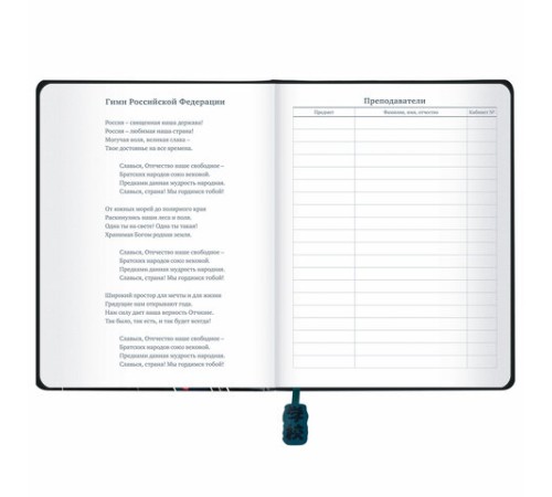 Дневник 1-11 класс 48 л., кожзам (твердая с поролоном), печать, ляссе с аппликацией, BRAUBERG, 