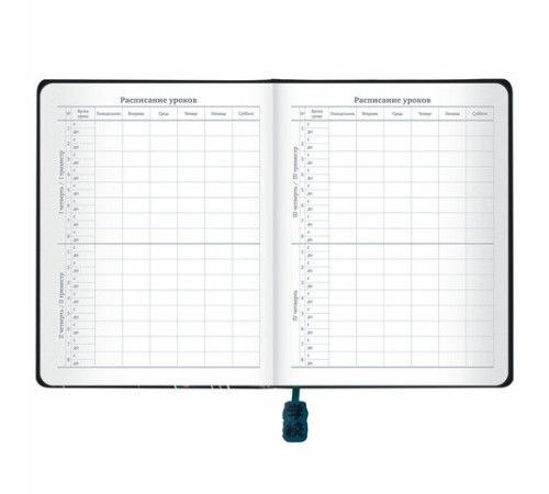 Дневник 1-11 класс 48 л., кожзам (твердая с поролоном), печать, ляссе с аппликацией, BRAUBERG, 