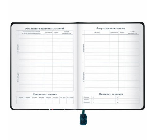 Дневник 1-11 класс 48 л., кожзам (твердая с поролоном), печать, ляссе с аппликацией, BRAUBERG, 