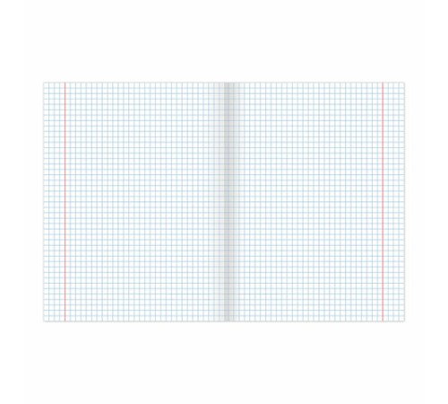 Тетрадь BRAUBERG ВЕЛИКИЕ ИМЕНА, 18 л., клетка, плотная бумага 80 г/м2, обложка тонированный офсет, 106978