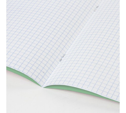 Тетрадь BRAUBERG ВЕЛИКИЕ ИМЕНА, 18 л., клетка, плотная бумага 80 г/м2, обложка тонированный офсет, 106978