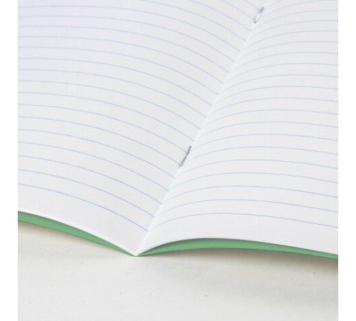 Тетрадь BRAUBERG ВЕЛИКИЕ ИМЕНА, 18 л., линия, плотная бумага 80 г/м2, обложка тонированный офсет, 106979