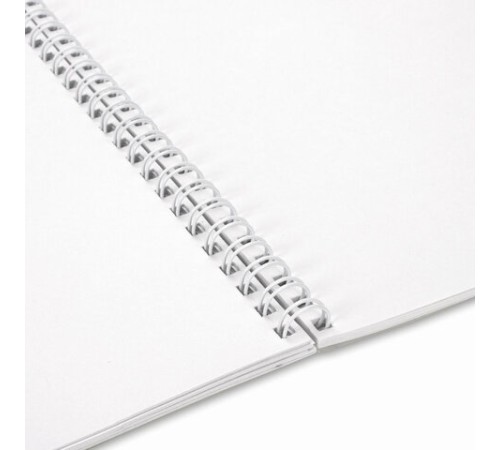 Альбом для рисования А4, 40 л., гребень, обложка картон, BRAUBERG, 195х285 мм, 