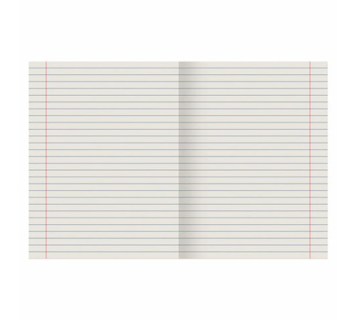 Тетрадь ЗЕЛЁНАЯ обложка 24 л., линия с полями, офсет №2 ЭКОНОМ, 