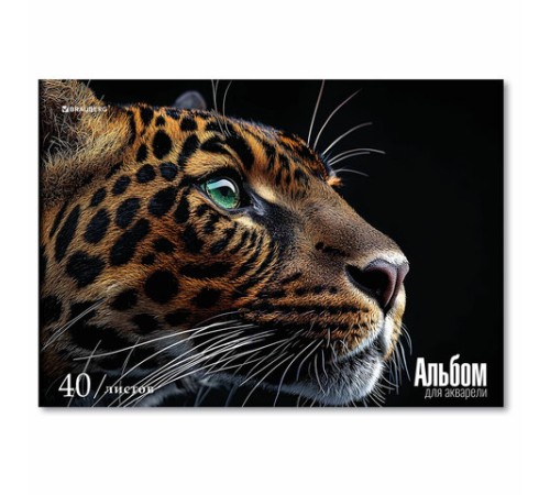 Альбом для акварели А4, 40 л., бумага 200 г/м2, склейка, обложка картон, BRAUBERG, 