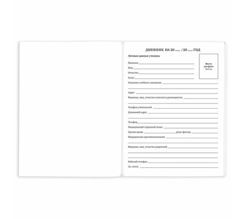 Дневник 1-11 класс 40 л., на скобе, ПИФАГОР, обложка картон, 