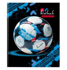 Дневник 1-11 класс 40 л., на скобе, ПИФАГОР, обложка картон, 