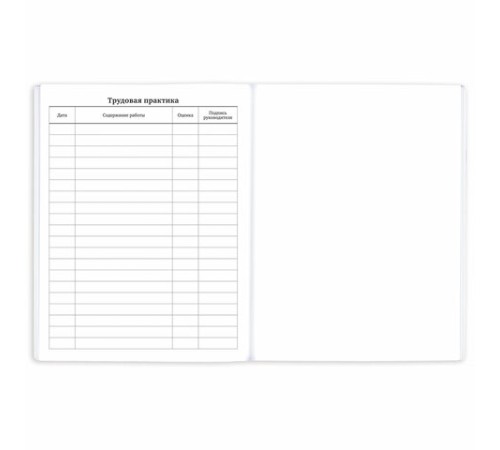 Дневник 1-11 класс 40 л., на скобе, ПИФАГОР, обложка картон, МИКС 