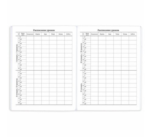 Дневник 1-11 класс 40 л., на скобе, ПИФАГОР, обложка картон, МИКС 