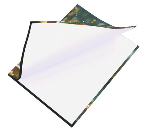 Дневник 1-4 класс 48 л., гибкая обложка, ЮНЛАНДИЯ, выборочный лак, с подсказом, 