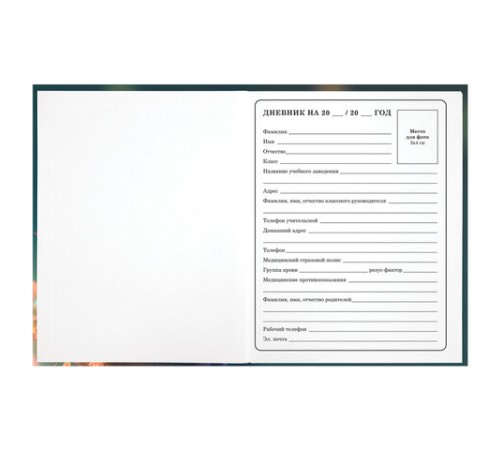 Дневник 1-4 класс 48 л., гибкая обложка, ЮНЛАНДИЯ, выборочный лак, с подсказом, 