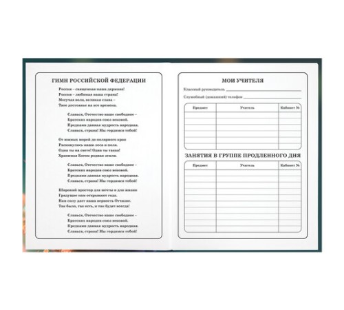 Дневник 1-4 класс 48 л., гибкая обложка, ЮНЛАНДИЯ, выборочный лак, с подсказом, 