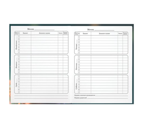 Дневник 1-4 класс 48 л., гибкая обложка, ЮНЛАНДИЯ, выборочный лак, с подсказом, 